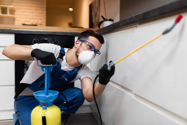 Professional Pest Control in Seville, OH