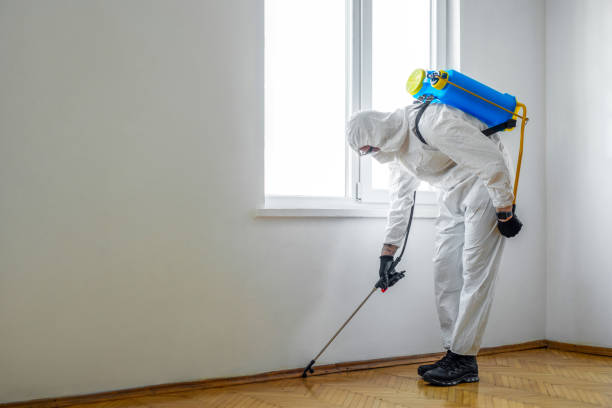 Best Exterminator Services  in Seville, OH