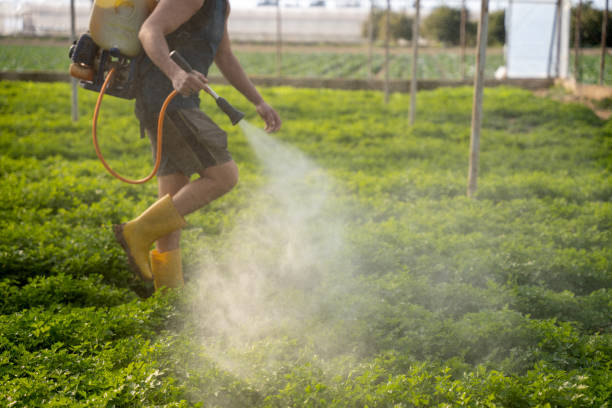 Best Local Pest Control Services  in Seville, OH