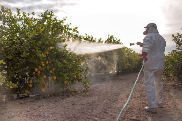 Best Residential Pest Control  in Seville, OH