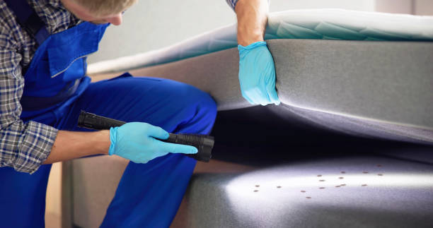 Best Residential Pest Control  in Seville, OH