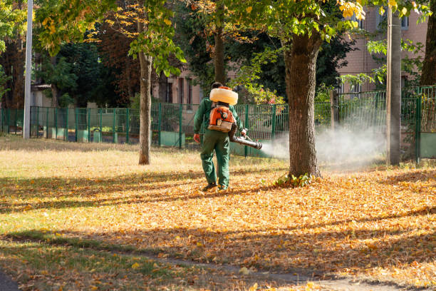 Reliable Seville, OH Pest Control Solutions