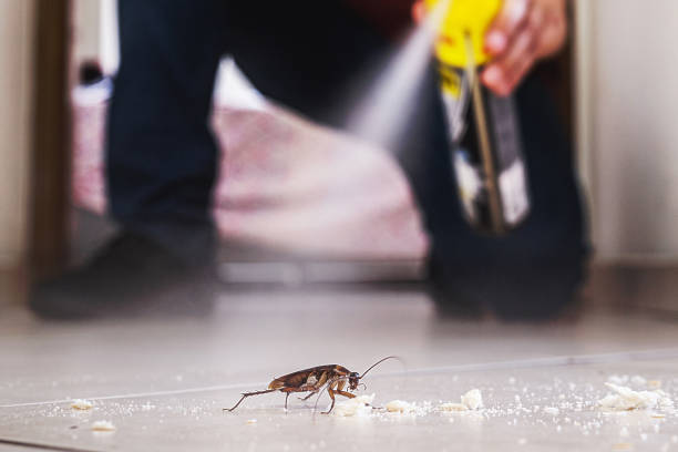 Best Best Pest Control Companies  in Seville, OH