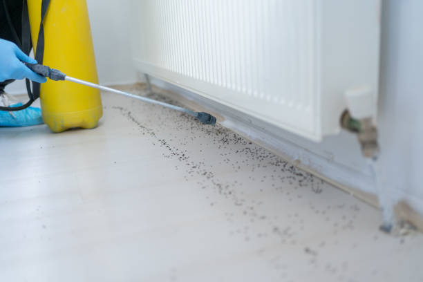Best Ant Control Services  in Seville, OH