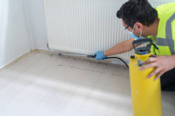 Best Pest Prevention Services  in Seville, OH