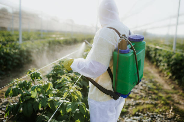 Best Bed Bug Extermination  in Seville, OH
